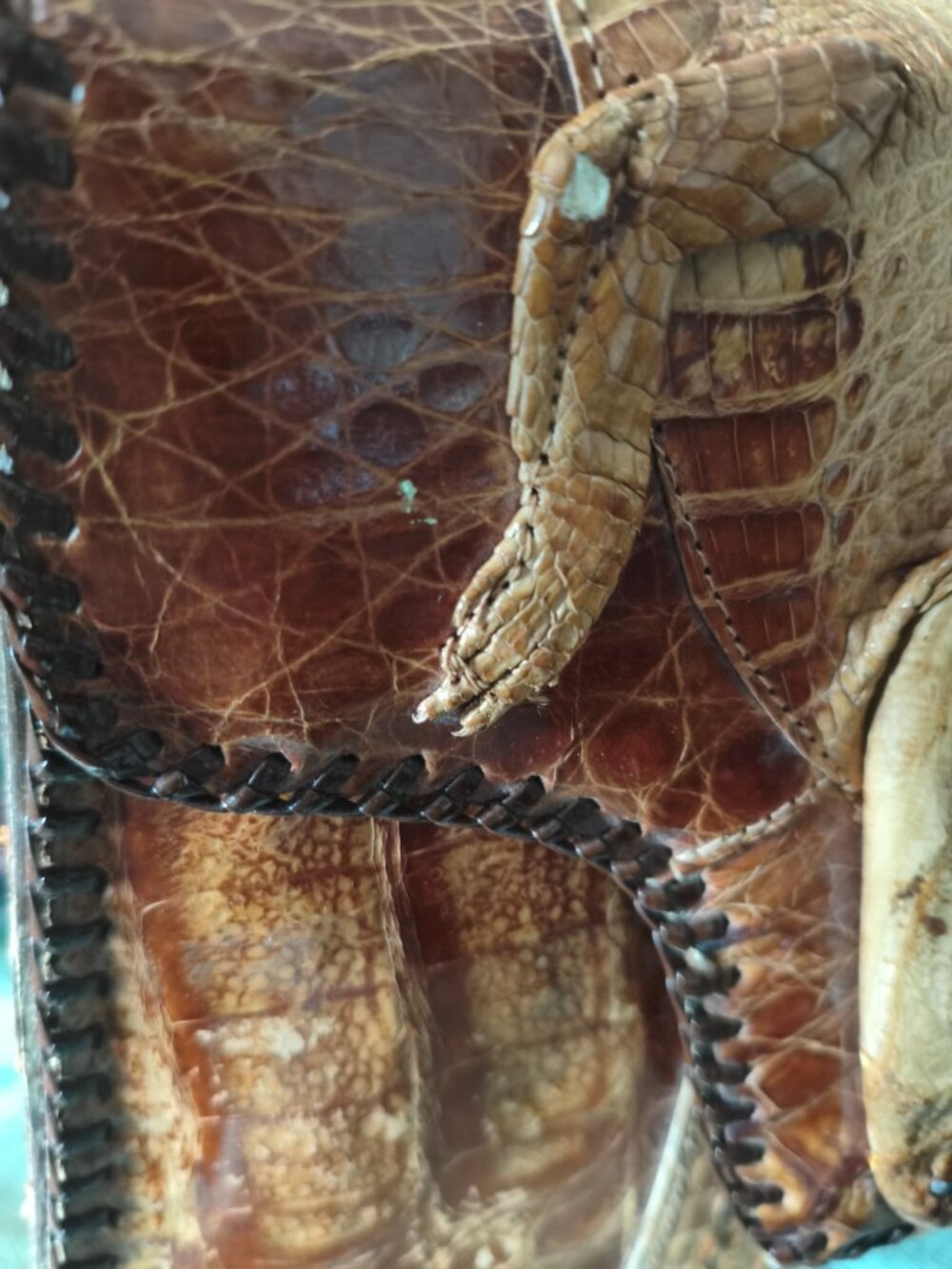 🐊 Vintage Genuine Alligator Handbag | Made in Cuba | Late 1940s–Early 1960s - Picture 11 of 12